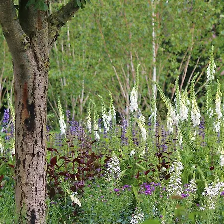 Papenburger Gastehaus Papenburg